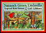Nature's Green Umbrella: Tropical Rain Forests