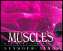 Muscles: Our Muscular System