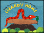 Lizard's Home
