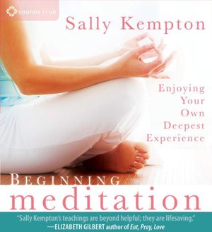 Beginning Meditation: Enjoying Your Own Deepest Experience