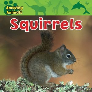 Squirrels