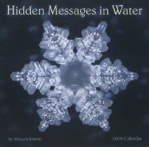 2009 Hidden Messages in Water Wall Calendar