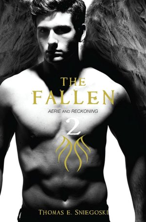 The Fallen Omnibus 2: Aerie / Reckoning