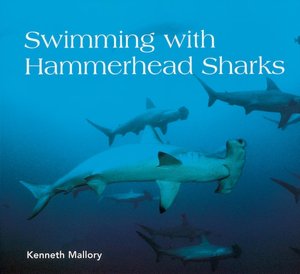 Swimming with Hammerhead Sharks