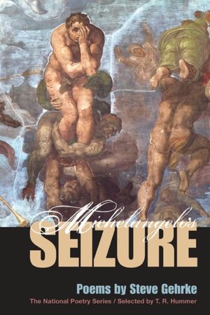 Michelangelo's Seizure: Poems