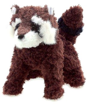 Tonto Raccoon