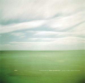 Still: Oceanscapes by Debra Bloomfield