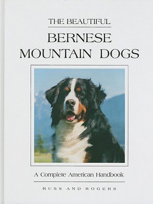 The Beautiful Bernese Mountain Dog