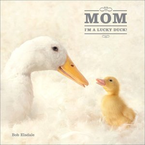 Mom, I'm a Lucky Duck Little Gift Book