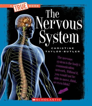 Nervous System