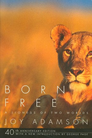 Born Free: A Lioness of Two Worlds