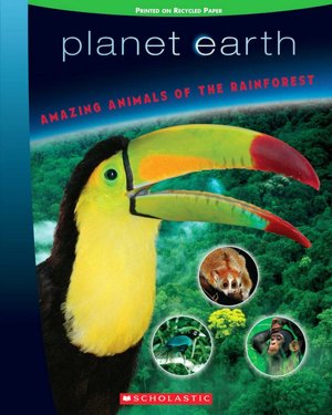 Amazing Animals of the Rainforest