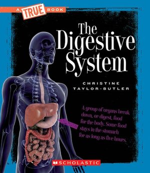 Digestive System