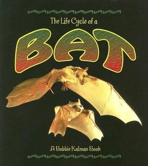 The Life Cycle of a Bat