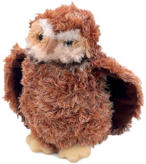 Owl Burrowing