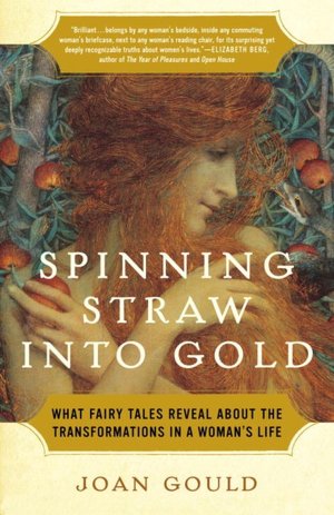 Spinning Straw into Gold What Fairy Tales Reveal about the Transformations