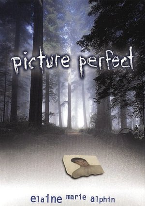 Picture Perfect