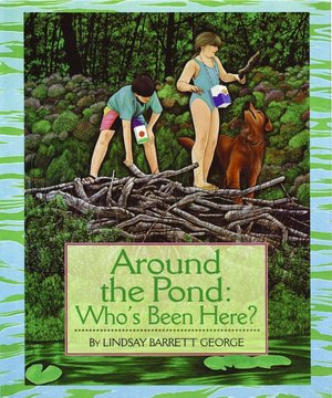 Around the Pond