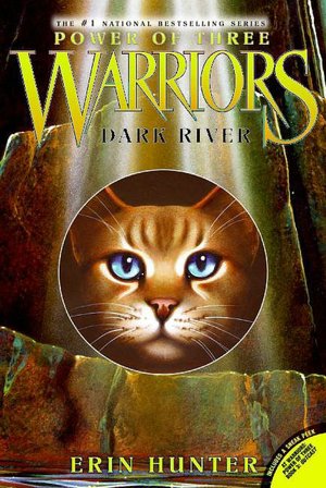 Dark River (Warriors: Power of Three Series #2)