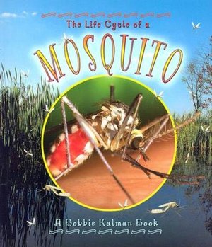 The Life Cycle of a Mosquito