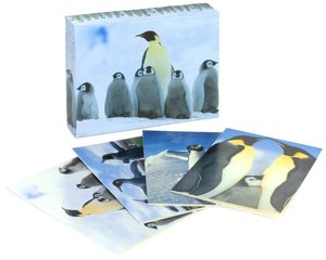 Penguin Note Card and Envelope set of 20