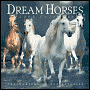 2005 Dream Horses Wall Calendar