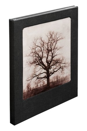 William Henry Fox Talbot