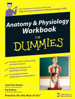 Anatomy and Physiology Workbook for Dummies