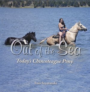 Out of the Sea: Today's Chincoteague Pony