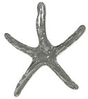 Blue Moon Natural Elegance Metal Pendants-Starfish Silver 5/Pkg by Blue Moon Beads: Product Image