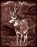 Copperfoil Kit 8"X10"-Elk by Reeves: Product Image