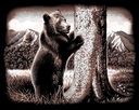 Copperfoil Kit 8"X10"-Bear Hug by Reeves: Product Image