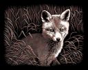 Copperfoil Kit 8"X10"-Fox Cub by Reeves: Product Image