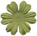 Bazzill Paper Flowers-Parakeet Primula 1.5" 10/Pkg by Bazzill: Product Image