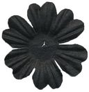 Bazzill Paper Flowers-Raven Primula 1.5" 10/Pkg by Bazzill: Product Image