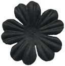 Bazzill Paper Flowers-Raven Primula 1" 10/Pkg by Bazzill: Product Image