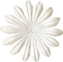 Bazzill Paper Flowers-White Daisy 2" 10/Pkg by Bazzill: Product Image