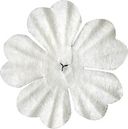 Bazzill Paper Flowers-White Primula 1.5" 10/Pkg by Bazzill: Product Image