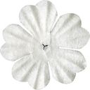 Bazzill Paper Flowers-White Primula 1" 10/Pkg by Bazzill: Product Image
