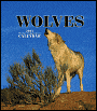 2005 Wolves Weekly Engagement Calendar