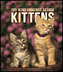 2005 Kittens Weekly Engagement Calendar
