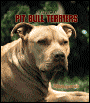 2005 Dogs Amer Pit Bull Terrier Engagement Calendar