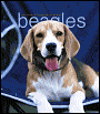 2005 Beagles Weekly Engagement Calendar