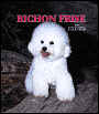 2005 Bichon Frise Weekly Engagement Calendar