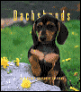 2005 Dachshunds Weekly Engagement Calendar
