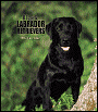 2005 Dogs Labrador Retrievers Black Wkly Engagement Calendar