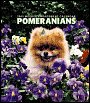 2005 Dogs Pomeranians Weekly Engagement Calendar