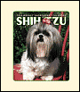 2005 Dogs Shih Tzu Weekly Engagement Calendar