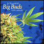 2006 Ed Rosenthal's Big Buds Calendar