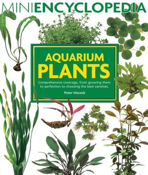 Aquarium Plants: Comprehensive Coverage, from Growing Them to Perfection to Choosing the Best Varieties